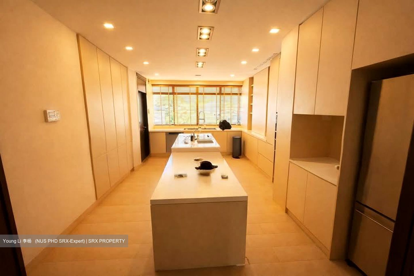 Astrid Meadows (D10), Condominium #595590711